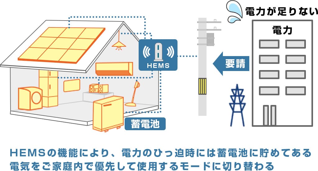 アグリ型の概要